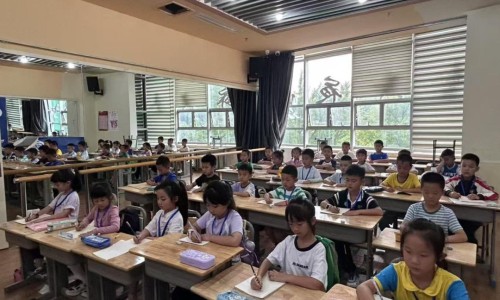 生蚝属于高蛋白食物吗网生蚝属于高蛋白质食物吗知识网站,分享生蚝属于高蛋白食物吗对吗大全