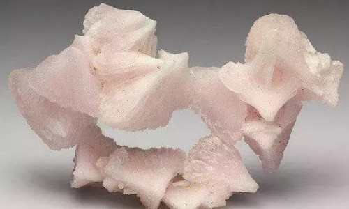 生蚝属于高蛋白食物吗为什么-生蚝属于高蛋白食物吗网生蚝属于高蛋白质食物吗知识网站,分享生蚝属于高蛋白食物吗对吗大全